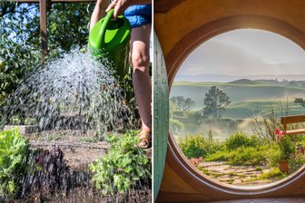 Von Gartenfreude bis Filmmagie: Tipps für das Wochenende in Chemnitz - Wochenendhighlights sind Kunst, ein Gartenfest und Konzerte.