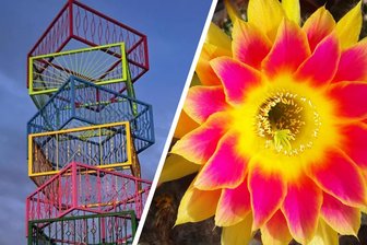 Von Kinderfest bis Kunst-Genuss: Gute Laune in Chemnitz und Umgebung auch bei schlechtem Wetter - In Lichtenau wird das Kunstwerk von Frank Maibier (links) enthüllt, in Taura werden Kakteen gezeigt.