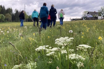 Von Mundharmonika bis Kräuterwanderung: Das plant ein Verein aus dem Vogtland in diesem Jahr - Die Kräuterwanderung mit Wanderführerin Dolores Weck ist fester Bestandteil des Jahresprogramms des Heimatvereins Topas.