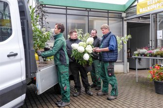 Von Pflanzaktion an der Chemnitzer Straße in Hartmannsdorf profitieren Don Bosco-Azubis und Gemeinde - Ausbilder Thomas Beutel (r.) prüft vor dem Start zur Pflanzaktion, ob Florian Junker, Florian Knoll und Maurice Naumann (v.l.) am Don Bosco-Standort in Hartmannsdorf die richtigen Sträucher und Stauden aus dem Gewächshaus geholt haben. Die Jugendlichen befinden sich in der Ausbildung zum Fachpraktiker Garten- und Landschaftsbau.
