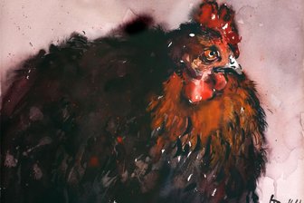 Von Wollschwein bis Huhn: Ausstellung „Das Thier“ in der Kleinen Galerie Hohenstein-Ernstthal - In der Ausstellung „Das Thier“ in der Kleinen Galerie ist unter anderem die Radierung „Lotte“ zu sehen.