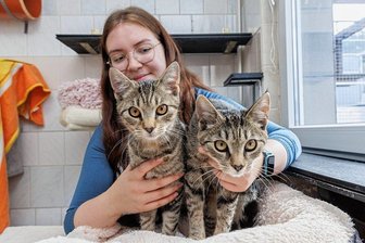 Vorbereitungen für das Tierheimfest "Neu-Amerika" bei Annaberg laufen - Zurzeit werden unter anderem Palina und Pepino im Tierheim "Neu-Amerika" betreut - im Bild mit Nathalie Wagner. Am Sonnabend findet das Tierheimfest statt.