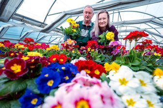 Vorboten des Frühlings zeigen sich jetzt auch im Vogtland - Seniorchef Volker Enk und Inhaberin Sandra Simon von der Gärtnerei Schlücker in Neundorf haben den Frühling bereits im Gewächshaus.