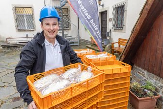 Vorgeschmack auf Weihnachten im Erzgebirge: Die ersten Stollen fahren ins Bergwerk ein - 