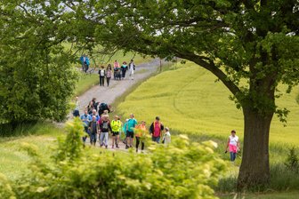 Vorjahresrekord geknackt: So lief die 31. Familienwanderung der „Freien Presse“ im Vogtland - Mit rund 2070 Teilnehmern toppte die 31. Familienwanderung den Vorjahresrekord.