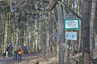 Vorsicht geboten: Waldwege in Freiberg und in Erzgebirgswäldern nicht überall sicher - Ein Waldspaziergang auch im Freiberger Stadtwald ist in diesen Tagen beliebt. Doch er birgt Gefahren.