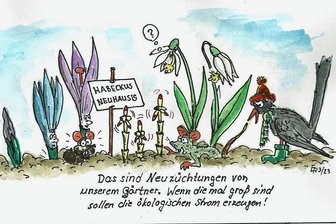 Vorsicht, Satire: Wie das Steigerlied Koalitionsstreit lösen könnte - Neue Züchtungen aus der Gärtnerei "Zur Ampel" in Berlin sorgen dieses Jahr für Aufmerksamkeit.