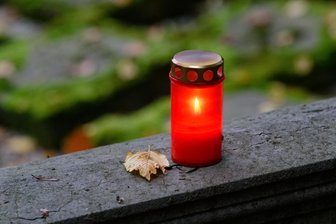 Vortragsreihe zum Thema Lebensende und Begleitung in Mittweida - Vorträge in Mittweida zu Palliativmedizin, Vorsorge und Trauerbegleitung starten.