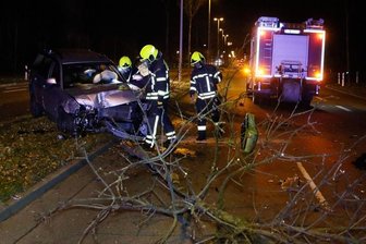 VW fällt Baum auf der Neefestraße - Fahrer schwer verletzt -