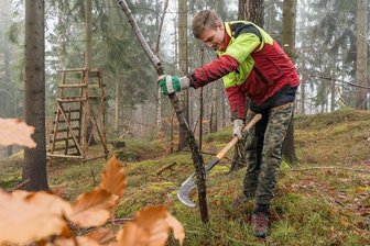 Waldarbeiter im Erzgebirge: Droht ein Fachkräftemangel? - Waldarbeit im Erzgebirge ist trotz vielfältiger Technik immer noch ein Knochenjob: Hier arbeitet Forstwirt Marcel Knüpfer mit einer sogenannten Heppe im Waldteil Börnichen des Forstreviers Borstendorf. 