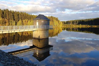 Waldbewirtschaftung auf Vogtländisch: Werda lässt sich mit Kommunalbesitz helfen - Werda wird von Wald gerahmt. Tatsächlich ist der kommunale Bestand mit 1,9 Hektar klein.