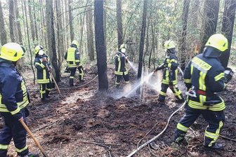Waldbrände in Drebach: Gibt es einen Zusammenhang? - Die Feuerwehr löschte am 4. Juli einen Brand zwischen Grießbach und Venusberg auf rund 100 Quadratmetern.