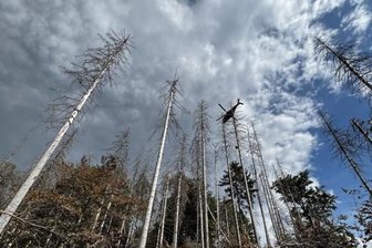 Waldbrände in Sachsen: Ist der Vogtlandkreis auf den Katastrophenfall vorbereitet? - Ein Kamerad inmitten des Katastrophengebiets. Helikopter sondieren die Lage kontinuierlich aus der Luft. 