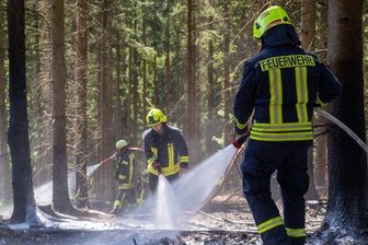 Waldbrand auf Hanneloh schnell eingedämmt - 