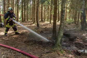 Waldbrand nahe dem Geyerschen Teich - 