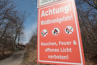 Waldbrandgefahr erreicht in Ostsachsen höchste Warnstufe - Die Waldbrandgefahr in Sachsen ist hoch. (Archivbild)