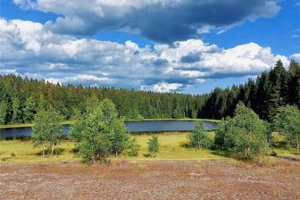 Waldbrandgefahr: Forstbezirk Adorf saniert Teich als Wasserreservoir - Einzig der Schlemmteich in Gottesberg steht im Falle eines Waldbrandes für Löschwasser zur Verfügung.