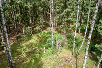 Waldbrandgefahr im Vogtland gedämmt: Wo die Wälder jetzt am kühlsten sind - In vogtländischen Wäldern, wie hier in Reumtengrün am Fronberg, gilt momentan Waldbrandstufe 2.