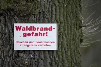 Waldbrandgefahr in der Region steigt - 