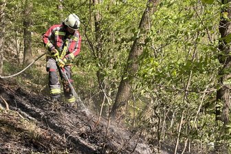Waldbrandgefahr nimmt zu - In Rossau war die Feuerwehr schon gefordert - Die Feuerwehr musste schon am Sonntag einen Waldbrand bei Dreiwerden löschen.