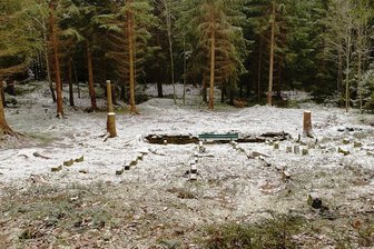Waldbühne Zwota: Verein soll im Januar gegründet werden - Das Areal der ehemaligen Waldbühne auf dem Zwotaer Herrenberg ist inzwischen vom Wildwuchs befreit.