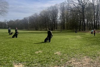 Waldenburg: Braucht man einen Hundeführerschein? - Training auf dem Hundesportplatz im Grünfelder Park.