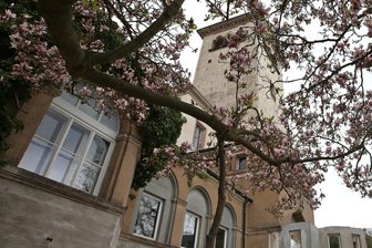 Waldenburg: Kinder erkunden den Bergfried im Turm des Schlosses - Den Bergfried des Schlosses kann man während der Ferien erkunden.
