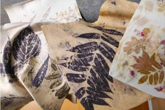 Waldenburg: Museum Naturalienkabinett lädt zu Ferienprogrammen ein - Pflanzenfarbendruck gehört auch in diesem Jahr zum Ferienprogramm des Museums Naturalienkabinett Waldenburg.