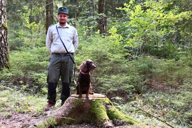 Waldesrauschen statt Waffengerassel - Holger Kind ist Förster auf Zeit im Hartmannsdorfer Forst, der der Deutschen Bundesstiftung Umwelt übertragen wurde. Im Wald begleitet ihn Lilli, ein Deutscher Wachtelhund. 