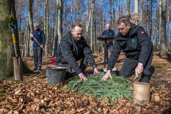 Waldfriedhof Erzgebirge: Führungen informieren über Ruhestätte - Auf dem Waldfriedhof Erzgebirge in Lauter arbeiten Erich Unger, Felix Lobe und Thomas Englert (vorn von links), Thomas Meisgeier ist Eigentümer des Waldes. Am Donnerstag findet dort eine Führung statt.