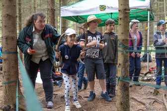 Waldjugendspiele im Erzgebirge: Wo alte Hasen jungen Hüpfern in Sachen Pilze auf die Sprünge helfen - 