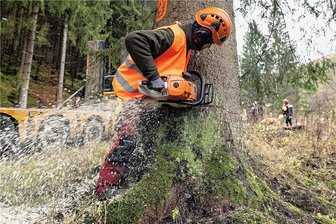 Waldjugendspiele im Forstbezirk Plauen starten in Langenbernsdorf - Bei den Waldjugendspielen lernen Kinder die Arbeit der Forstleute kennen. 