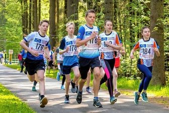 Waldlauf dient als Vorbereitung für große Ziele - Die Mädchen und Jungen der U 13 kurz nach dem Start.