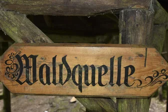 Waldquelle Raun: Sanierung soll endlich kommen - Die Waldquelle bei Raun beschäftigt die Gemeinde Bad Brambach seit 2021.