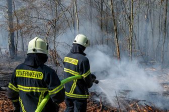 Waldstück bei Altgeringswalde in Flammen - In einem Waldstück zwischen Altgeringswalde und Langenau ist am Montagvormittag ein Brand ausgebrochen.