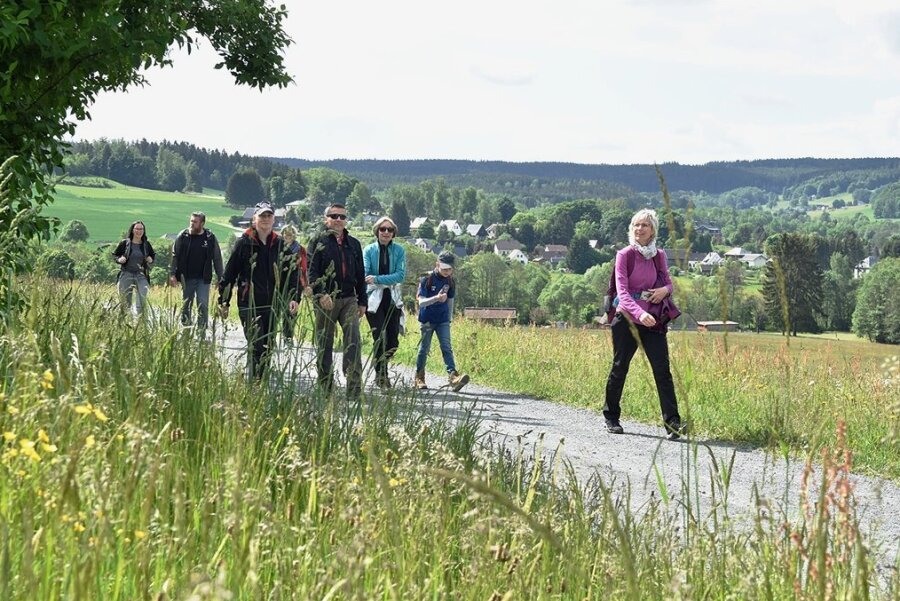Wanderer erkunden im Vogtland blühende Landschaft rund um Erlbach - Bei herrlichstem Wanderwetter hatten am Sonntag in Erlbach auch diese Teilnehmer ihre Wanderschuhe geschnürt. Insgesamt 858 Teilnehmer zählte die 42. Bergwanderung. 