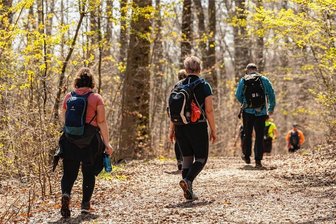 Wandermarathon um den Tharandter Wald: Hikethon 2023 - Insgesamt 258 Teilnehmer umwanderten auf der 42,195 Kilometer-Marathonstrecke den Tharandter Wald.