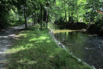 Naturerlebnis mitten in Altchemnitz: Im Wasserwerkspark zwischen Erfenschlager Straße und Zwönitzstraße kann man als Wanderer mit etwas Glück Wasseramseln und Eisvögel beobachten.