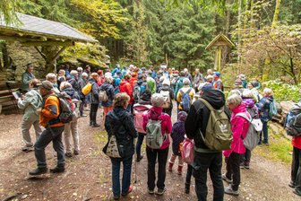 Wanderung durch Erzgebirgswald mit 80 Naturbegeisterten - Die Wandergruppe an der Stülpnerhöhle nahe der Naturbühne an den Greifensteinen.