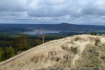 Wanderung im Erzgebirge führt über die Grenze - Vom Hassberg aus bietet sich dieser Blick auf die Talsperre Preßnitz.