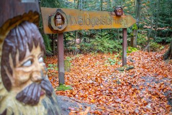 Wanderweg im Erzgebirge gehört zu den beliebtesten Naturerlebnispfaden Deutschlands - Der Waldgeisterweg führt über etwa 3,5 Kilometer durch den Greifensteinwald.