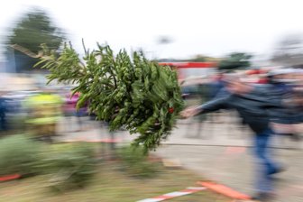Wann in Lichtenau die Weihnachtsbäume fliegen und wo die Wirtschaft neue Impulse findet - Weihnachtsbaumweitwurf, wie hier im Bild, soll es auch in Auerswalde geben.