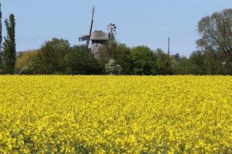Warmes Wetter am Wochenende - Am Sonntag ist auch mit Sonne zu rechnen. (Symbolbild)