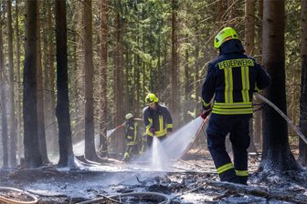 Warnung am Wochenende: Wie leicht jetzt der Wald brennen könnte - Waldbrand bei Falkenstein vor zwei Jahren: Damit das nicht passiert, gilt äußerste Achtsamkeit in vogtländischen Wäldern.