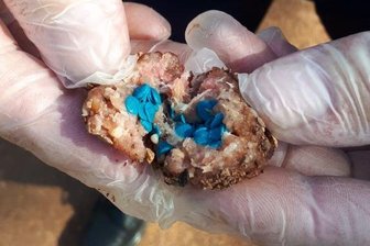 Warnung: Giftköder im Park "An den Anlagen" in Zschopau - Am Freitag (20.04.2018) wurden Giftköder im Park "An den Anlagen" in Zschopau gefunden.