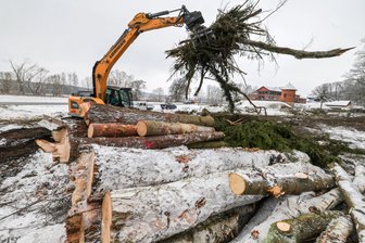 Warum an der B 175 zwischen Glauchau und Waldenburg ein Wald verschwand - Neben dem Wasserwerk in Kertzsch sind zahlreiche Bäume gefällt worden.