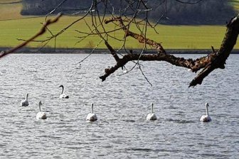 Warum an der Talsperre Pirk jetzt Aufbruchstimmung herrscht - Frühlingsidylle am Stausee vor den Toren von Oelsnitz. 