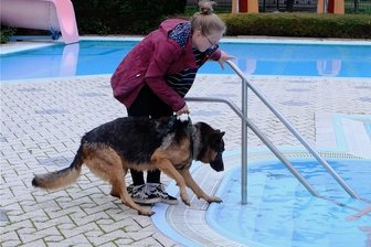 Warum beim Hundeschwimmen im Erzgebirge eine Frau im Wasser planscht - Alexandra Lorenz-Kuniß ging ins Wasser, obwohl das Becken eigentlich für das Hundeschwimmen reserviert war: Ihr Schäferhund Cosmo, der von Tochter Susanne gehalten wird, musste erst überzeugt werden. Von der nächsten Badesaison wird das Becken derweil geleert und gereinigt - und damit keinerlei Hunderückstände mehr haben. Das Wasser wird direkt in die Kanalisation geleitet.
