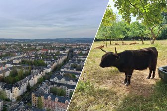 Warum Chemnitz zwei Kaßberge hat - Zwei Kaßberge, zwei Welten.