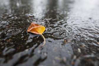 Warum der Abwasserverband Reichenbacher Land ein Ultraleichtflugzeug in die Luft schickt - Regen verursacht Kosten, wenn das Wasser vom Grundstück in die Kanalisation fließt.